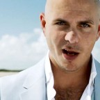 pitbull