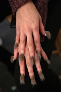 fur-nail-005