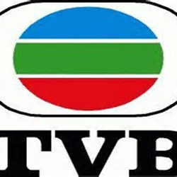 TVB Logo