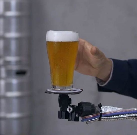 Hahnbeerholder