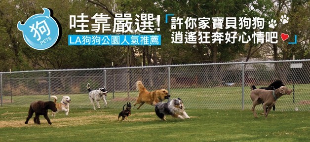 dog_park_banner