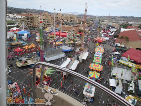 SD County Fair_00