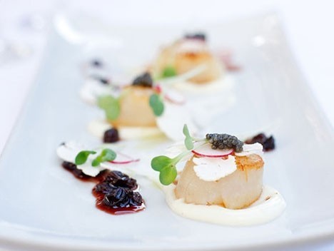 cafe-pinot-scallop-0