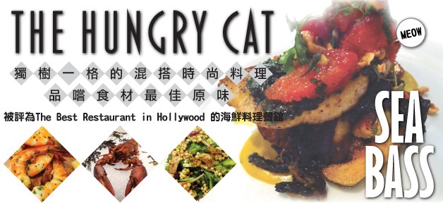 the hungry cat feature