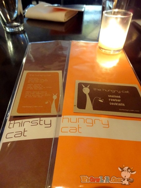 the hungry cat_06