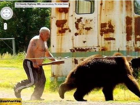 man-v-bear-google-street-view