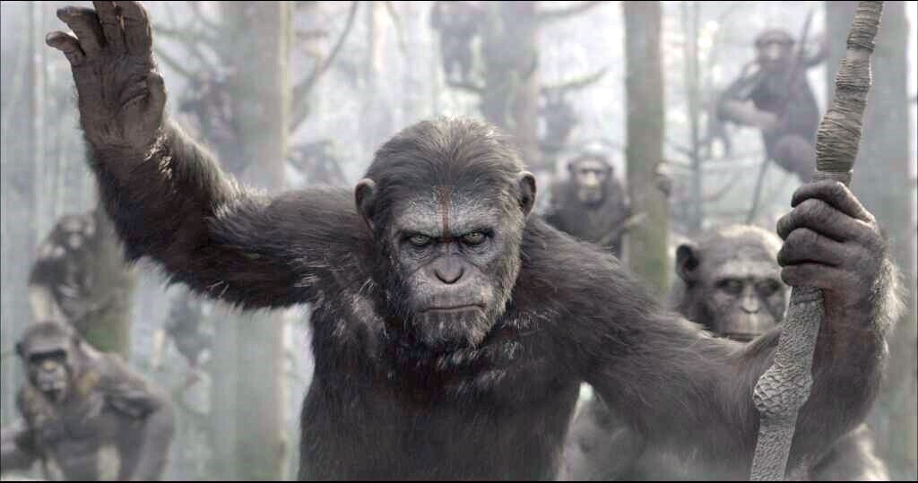 Dawn of the Planet of the Apes Old Caesar light