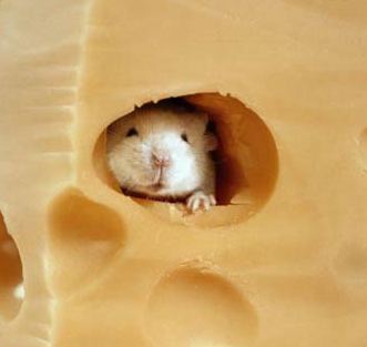 cheese_mouse