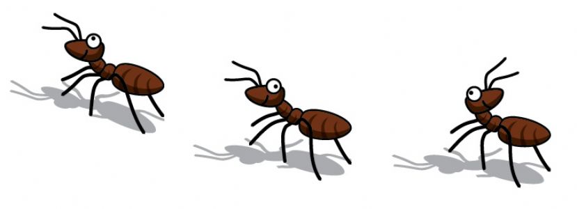 getting-rid-ants-1330684496