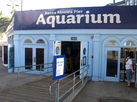 Santa Monica Aquarium