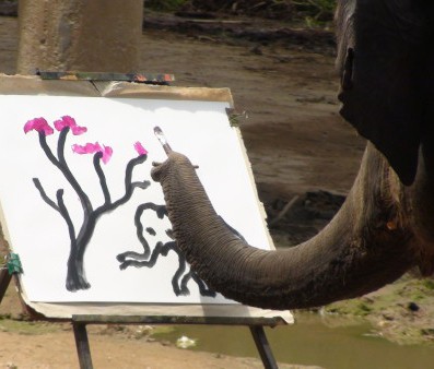 Suda the Elephant