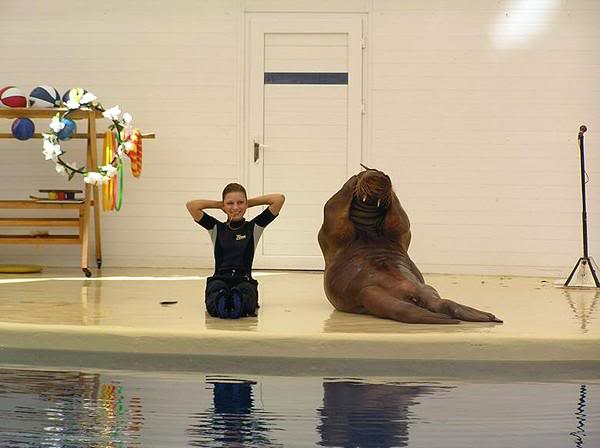 The Walrus work out