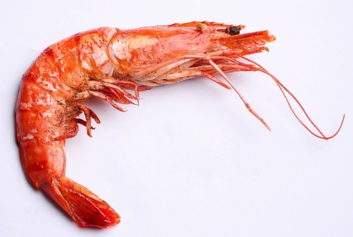 shrimp2
