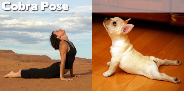 yoga poses12