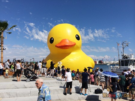 Rubber_Duck_1-festival6