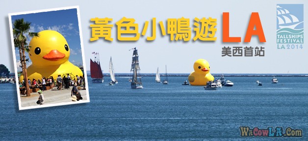 Rubber_Duck_Feature