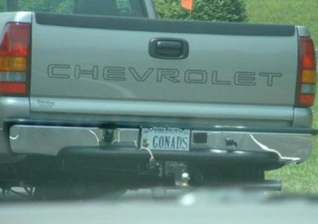 dirty-license-plate-gonads