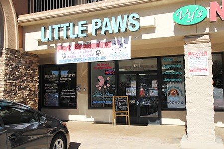 Little Paws Pet Grooming_18