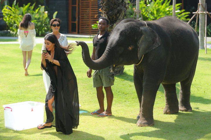EXCLUSIVE: **PREMIUM EXCLUSIVE**NO WEB** Kim Kardashian plays with a baby elephant in Thailand