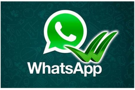 whatsapp-web002