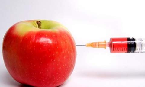 GMO-apple-syringe