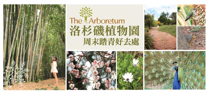arboretum-banner-628
