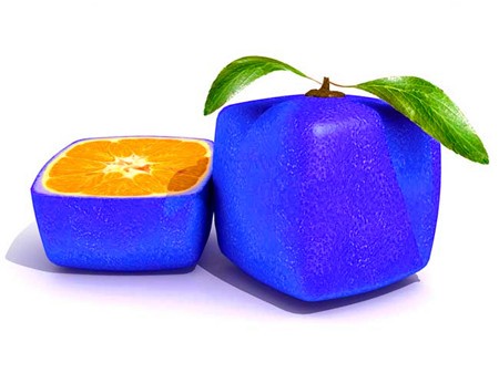 bigstock-Sliced-Blue-Citric-Fruit-7069538