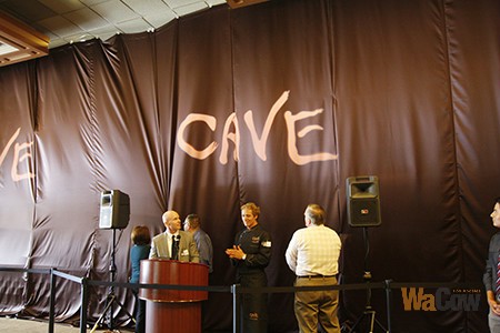 CAVE3