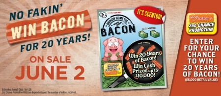 bringin-home-the-bacon-teaser-e1433488711499