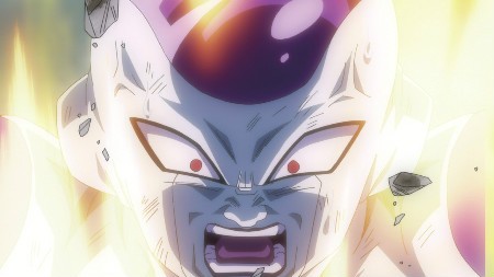 dragon ball (7)