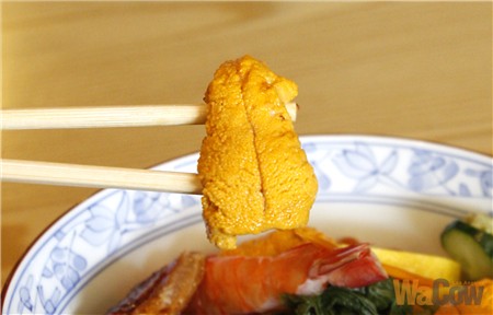 sushi-tsujita007