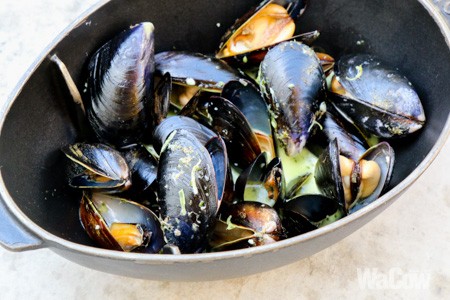 Mussels 5