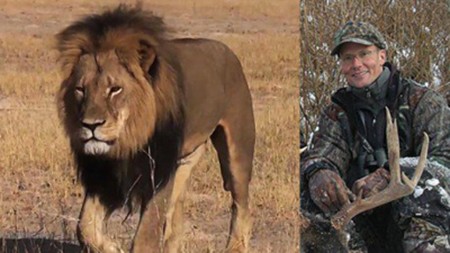 獵殺獅子王的牙醫不會被起訴！！！