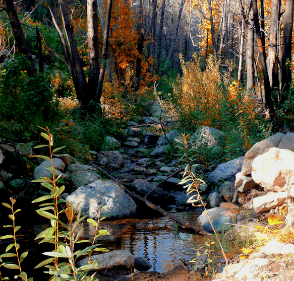 solstice_canyon_malibu