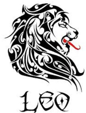 Leo1- PC- Google Images