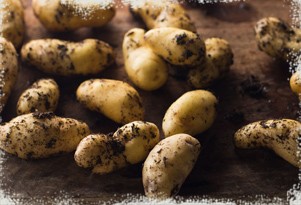 Potatoes_th