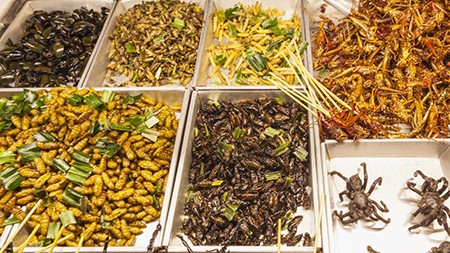 Bangkok, Thailand --- Thailand,Bangkok,Khaosan Road,Vendors Display of Fried Insects --- Image by © Steven Vidler/Corbis