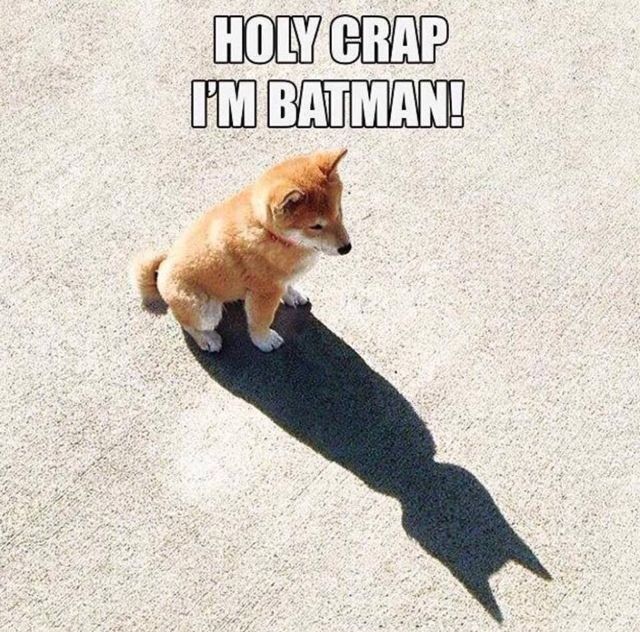 先別管”蝙蝠俠對超人：正義曙光” 的爛評價了~ 我們來看看誰才是最稱頭的蝙蝠俠!