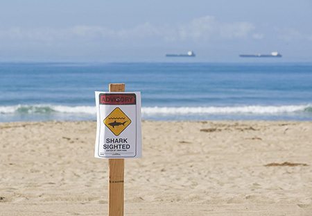 Signs went up Wednesday morning along Sunset Beach and and Huntington Beach after a shark was spotted. ///ADDITIONAL INFORMATION: shark.1008 Ð 10/6/15 Ð SAM GANGWER, ORANGE COUNTY REGISTER -