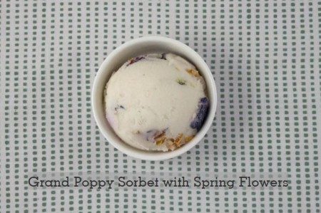 Grand Poppy Sorbet with Spring Flowers