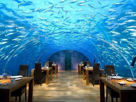 Ithaa-Undersea-Restaurant-Rangali-Island-Maldives-