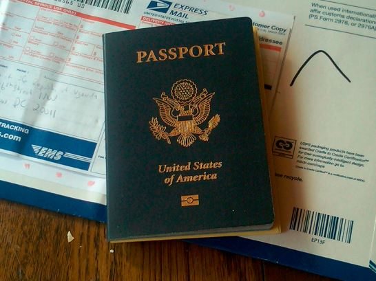 USA Passport 2 terry timm