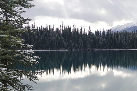 640px-Emerald_Lake_-_Canadian_Rockies_-_Alberta_-_After_the_Season's_First_Snow_-_12