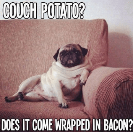 Couch Potato 2 Pinterest