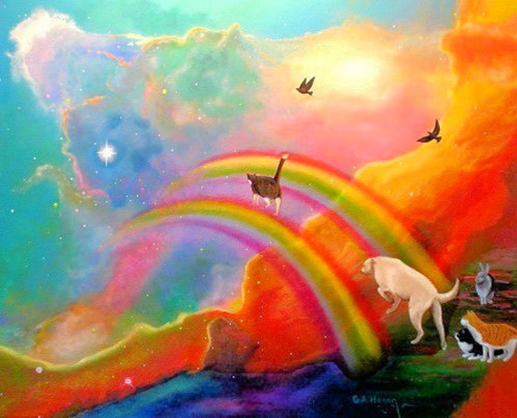 animal rainbow bridge 1 blogspot