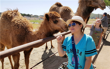 [Darcy爱玩乐] Oasis Camel Dairy可爱骆驼牧场游记!
