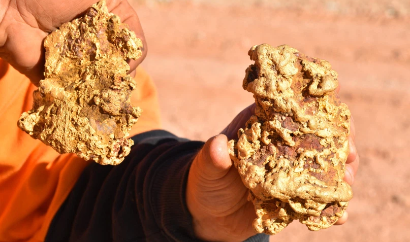 快來沾運氣！澳兩挖礦人一天內發現兩只超大金塊！價值超$25萬