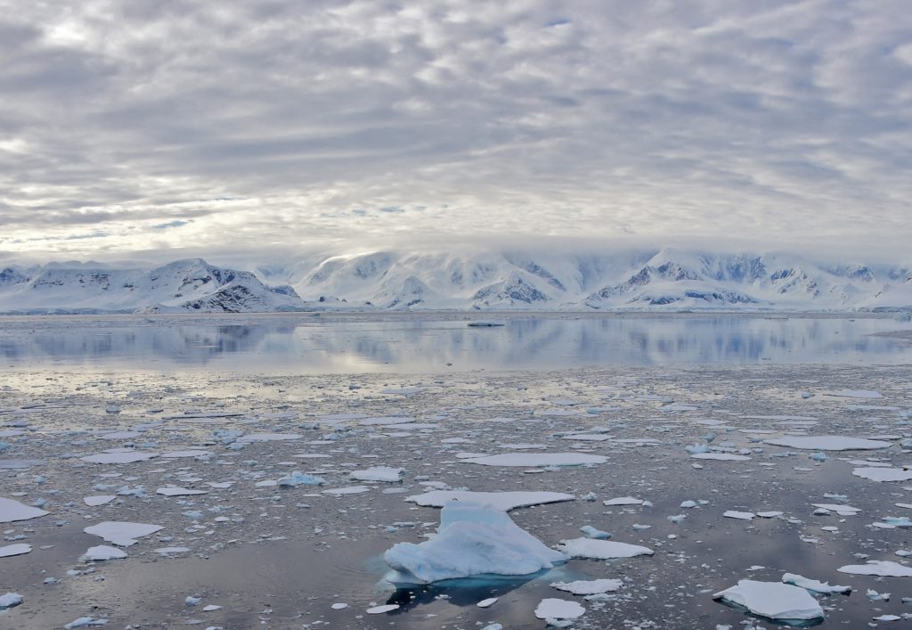 聯合國證實南極氣溫創新高 達攝氏18.3度