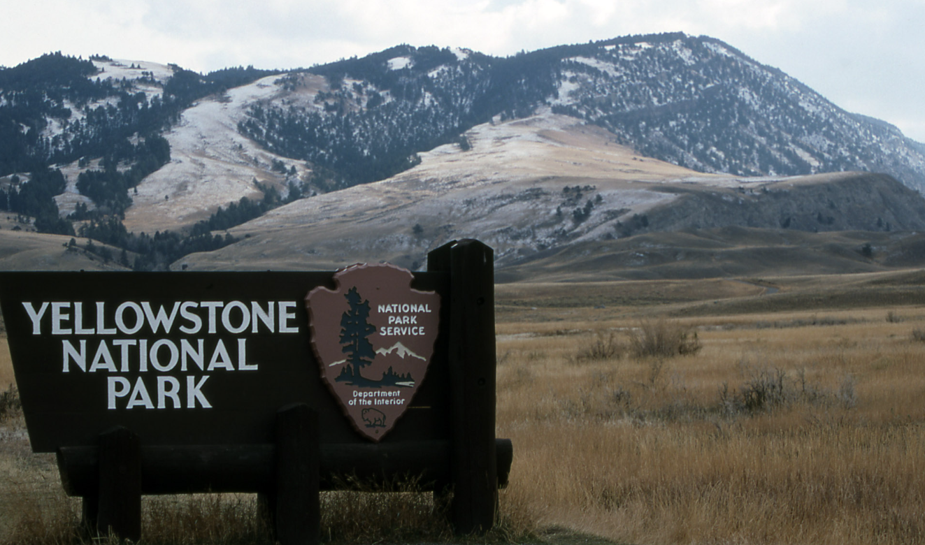 黃石國家公園因安全考量而關閉部分道路🚧