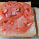 Sandwich-10